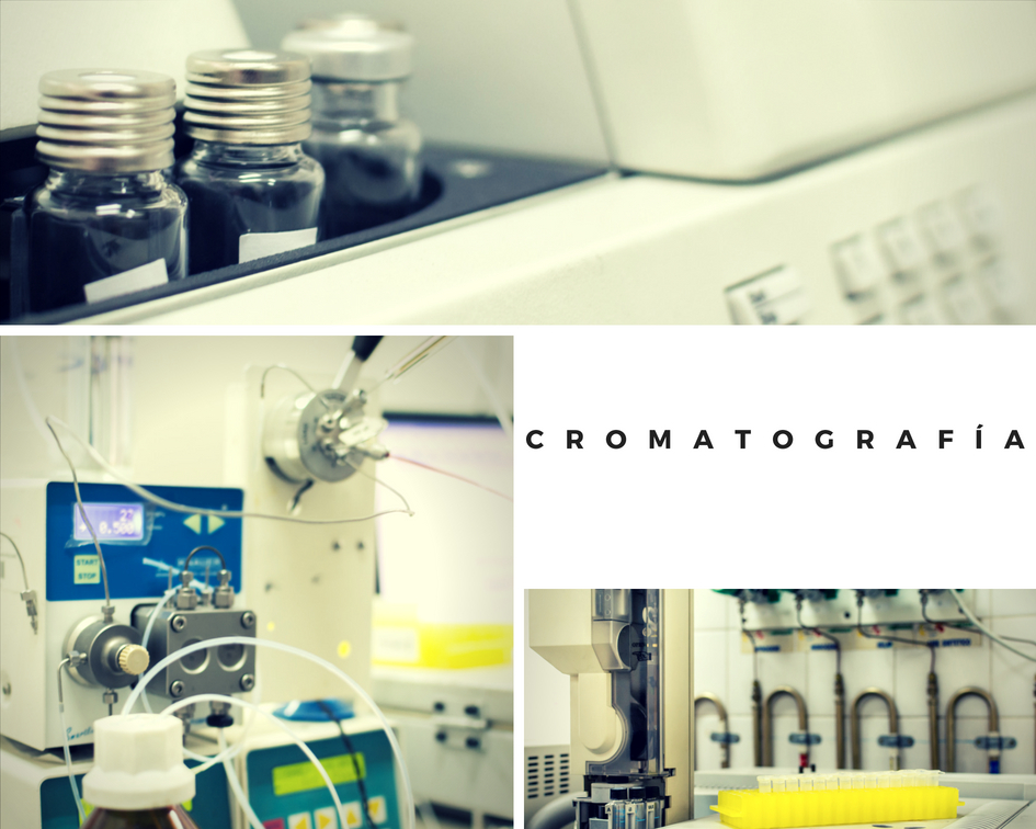 cromatografía 2